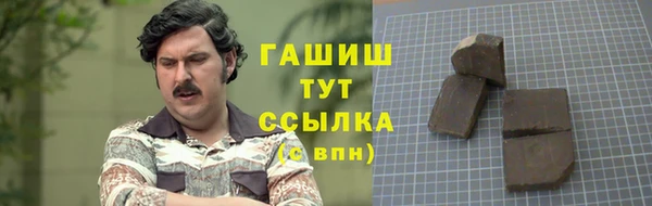 шишки Арсеньев