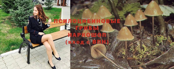 шишки Арсеньев