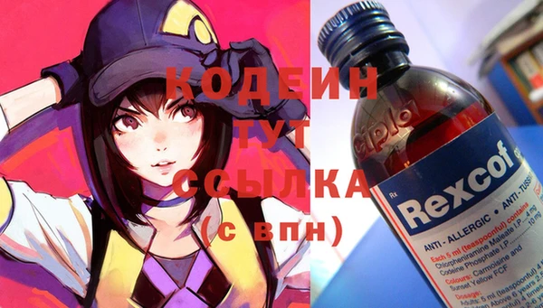 шишки Арсеньев