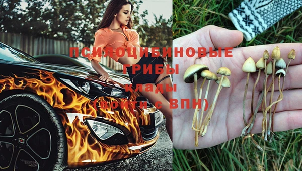 прущая мука Армянск