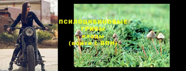 прущая мука Армянск
