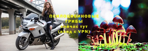 2c-b Аркадак