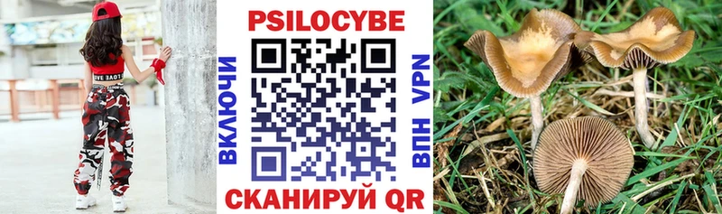 Галлюциногенные грибы Psilocybine cubensis  Сосенский 